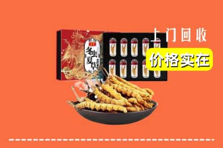 青岛市回收冬虫夏草